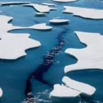 Scientists Forecast Ice-Free Arctic Within Three Years